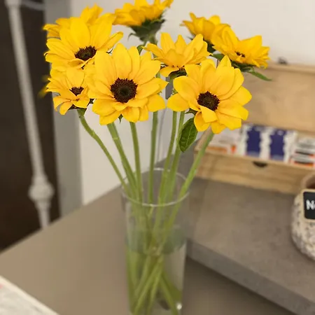 La Campagnetta Alassio