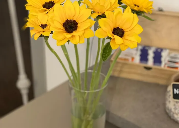 La Campagnetta Alassio