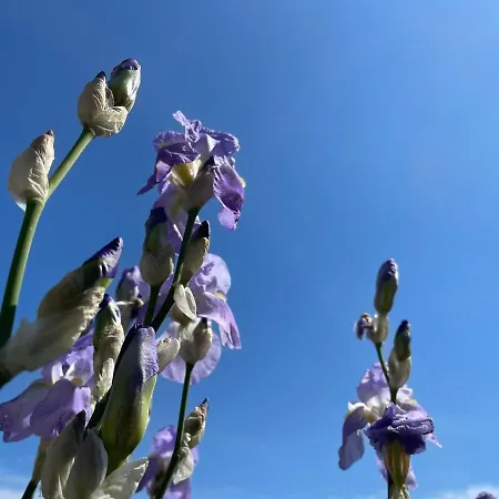 La Campagnetta 3* ألاسيو